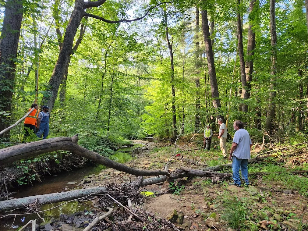 A group of people in a forest near a stream. Two are wearing hi-vis vests. It is daytime.