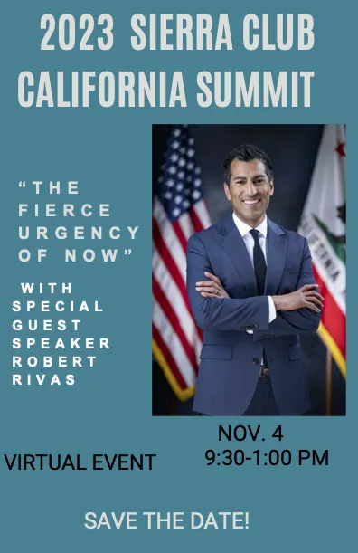 Annual summit flyer