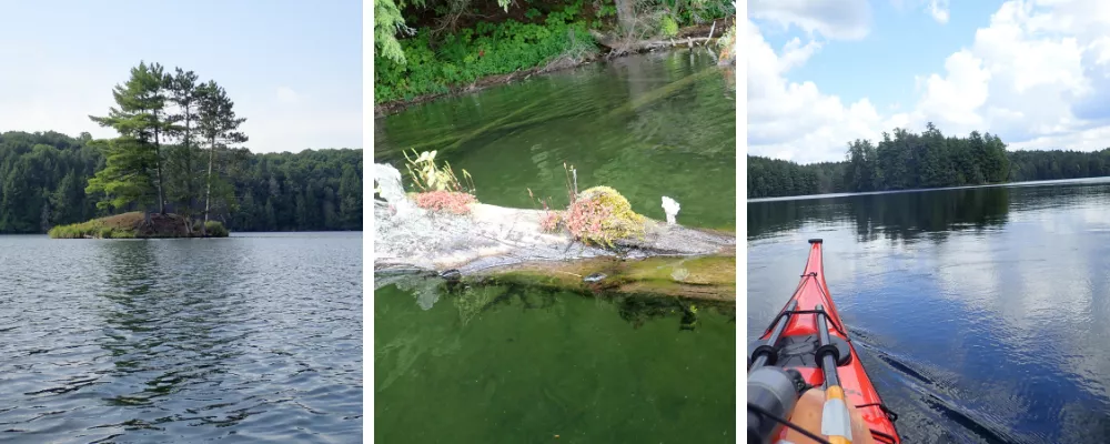 Photos of crooked lake, a mossy log, and the front of a kayak on the lake.