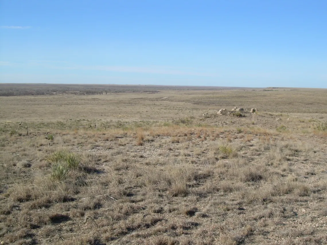 Blue sky, expanse of beige grasslands