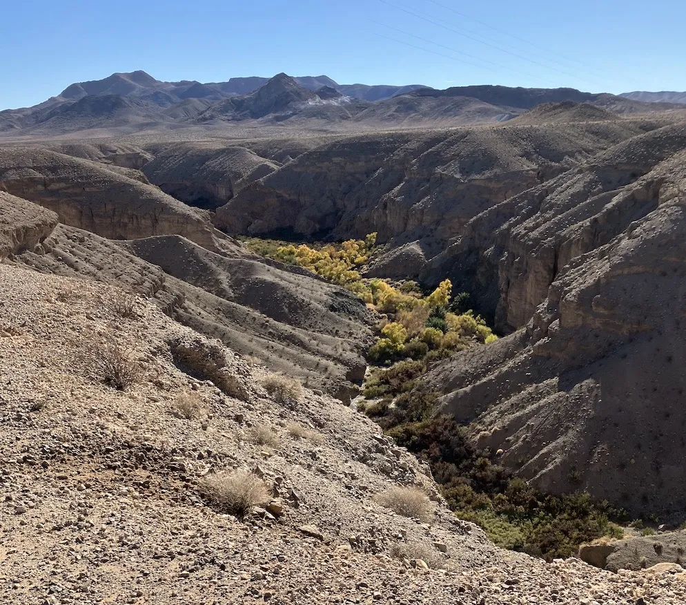 photo of upper Willow Creek in Amargosa Basin