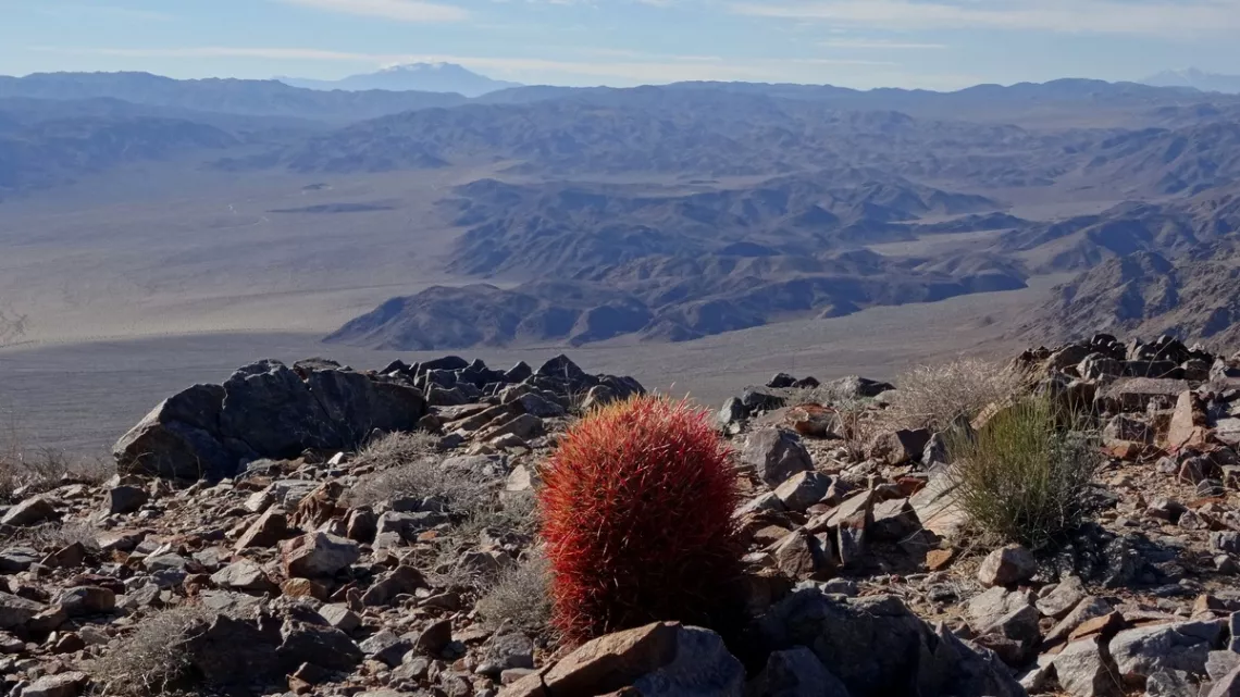 Looking east from Pinto Peak in Joshua Tree National Park