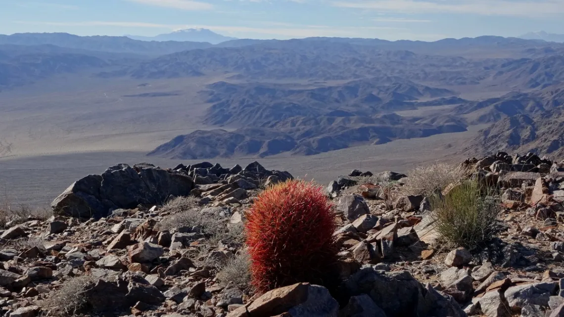 Looking east from Pinto Peak in Joshua Tree National Park