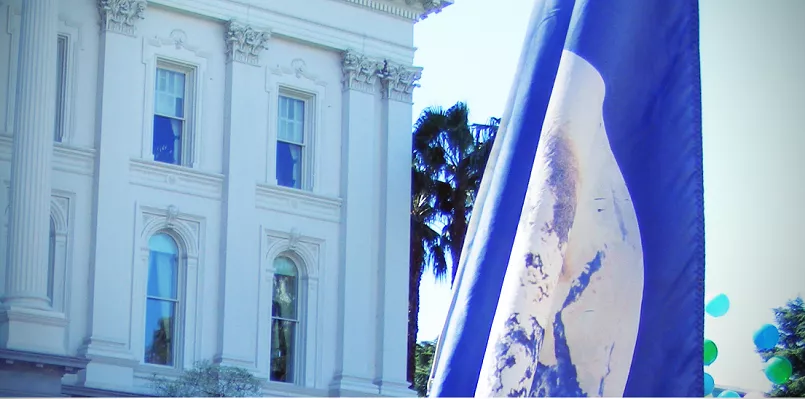capitol building with flag