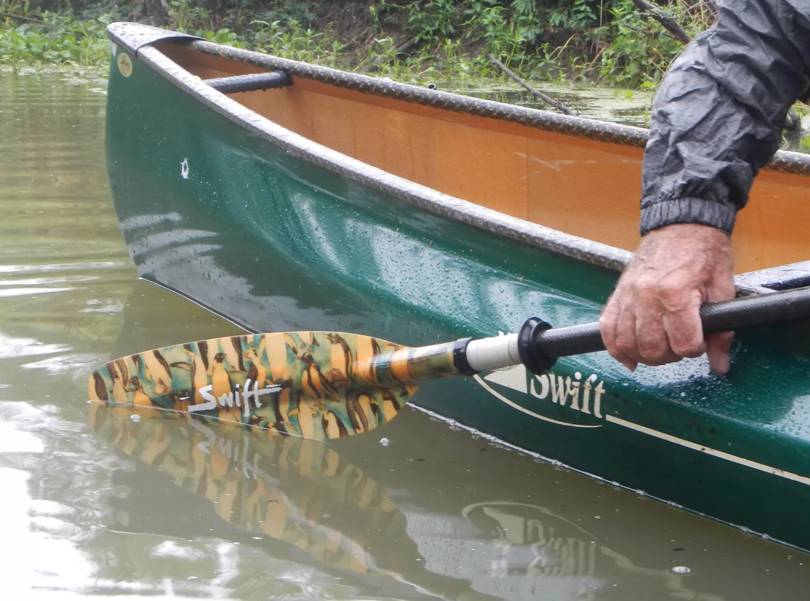 Taylor Swift observance