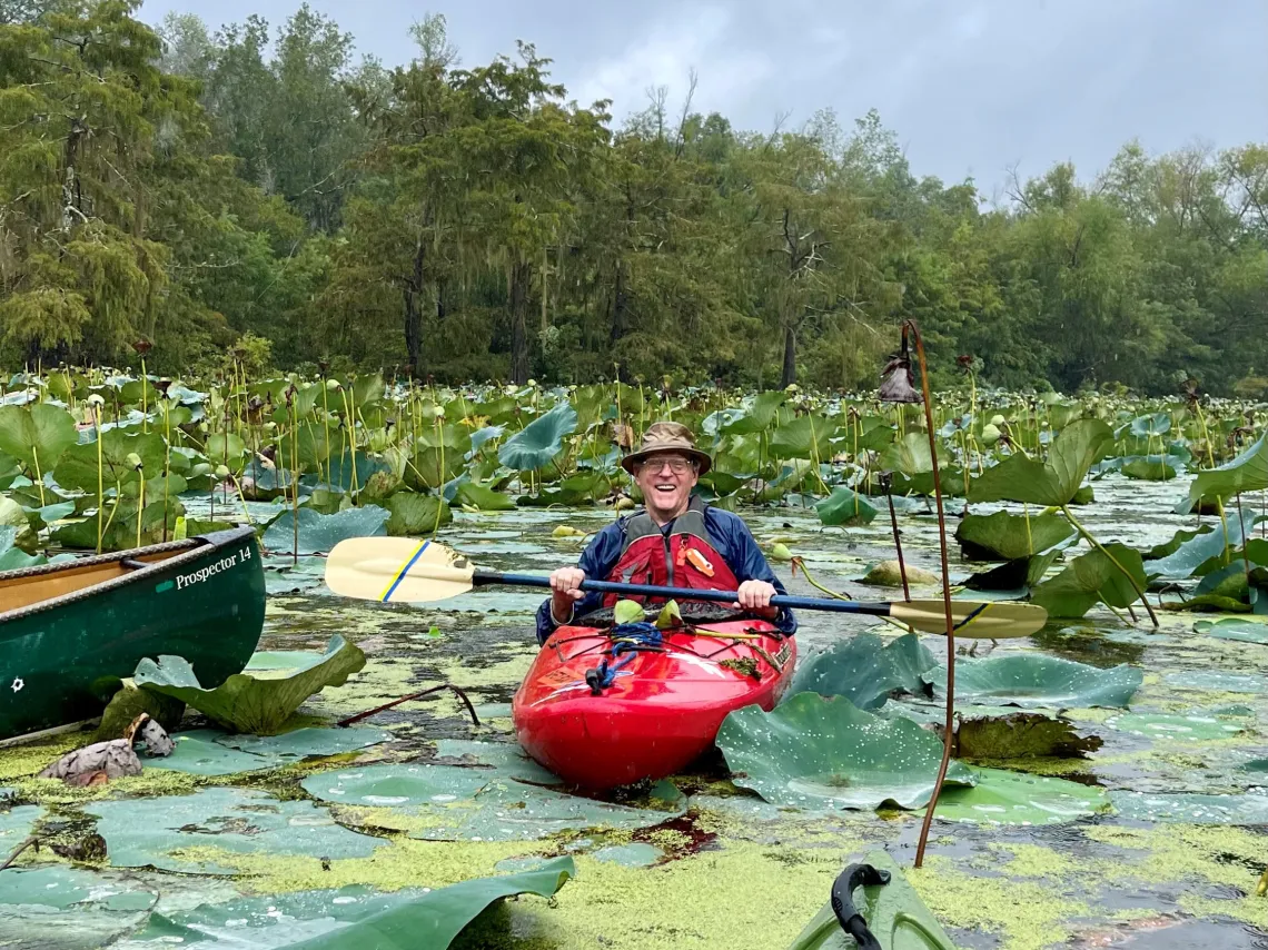 Lotuses