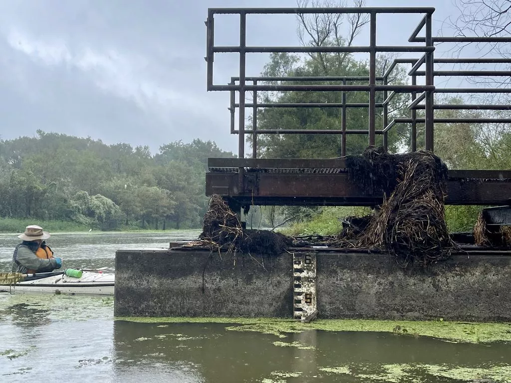 Champion Lake staff guage