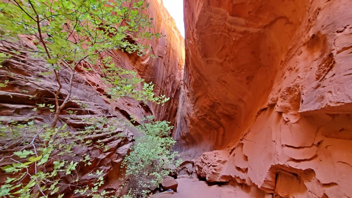 Singing Canyon