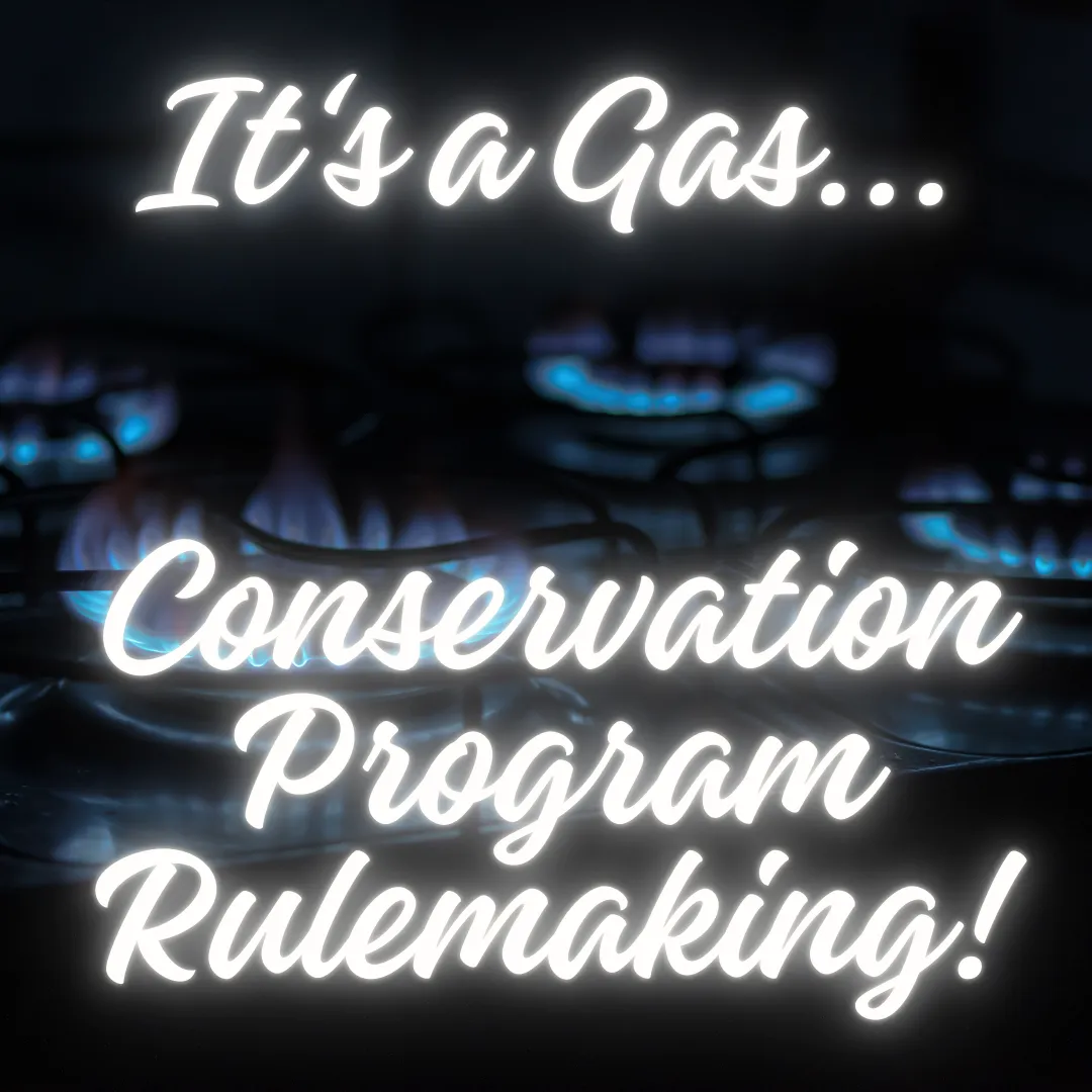 Background of blue-lit gas stoves behind text: It's a gas... Conservation Program Rulemaking!