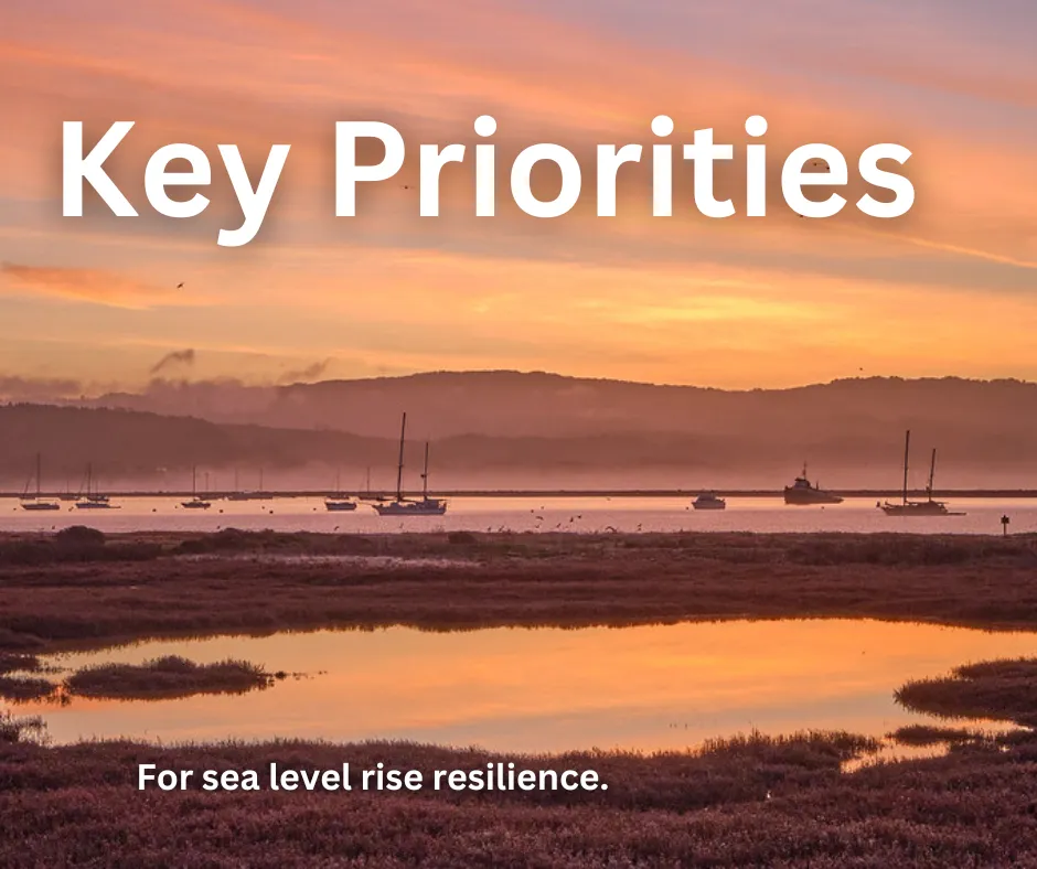 Key Priorities