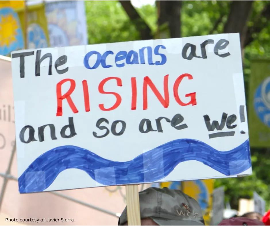 The Oceans are Rising and So Are We!