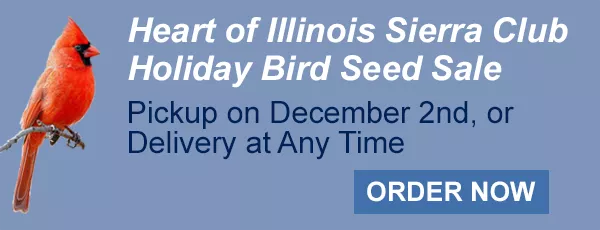 bird seed sale