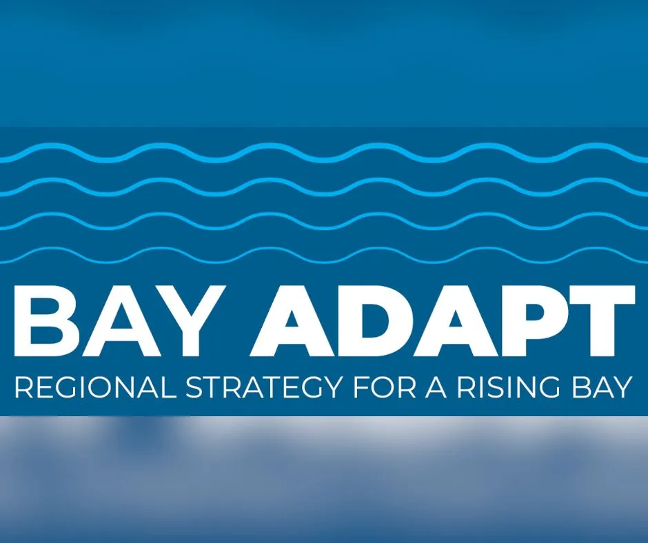 Bay Adapt
