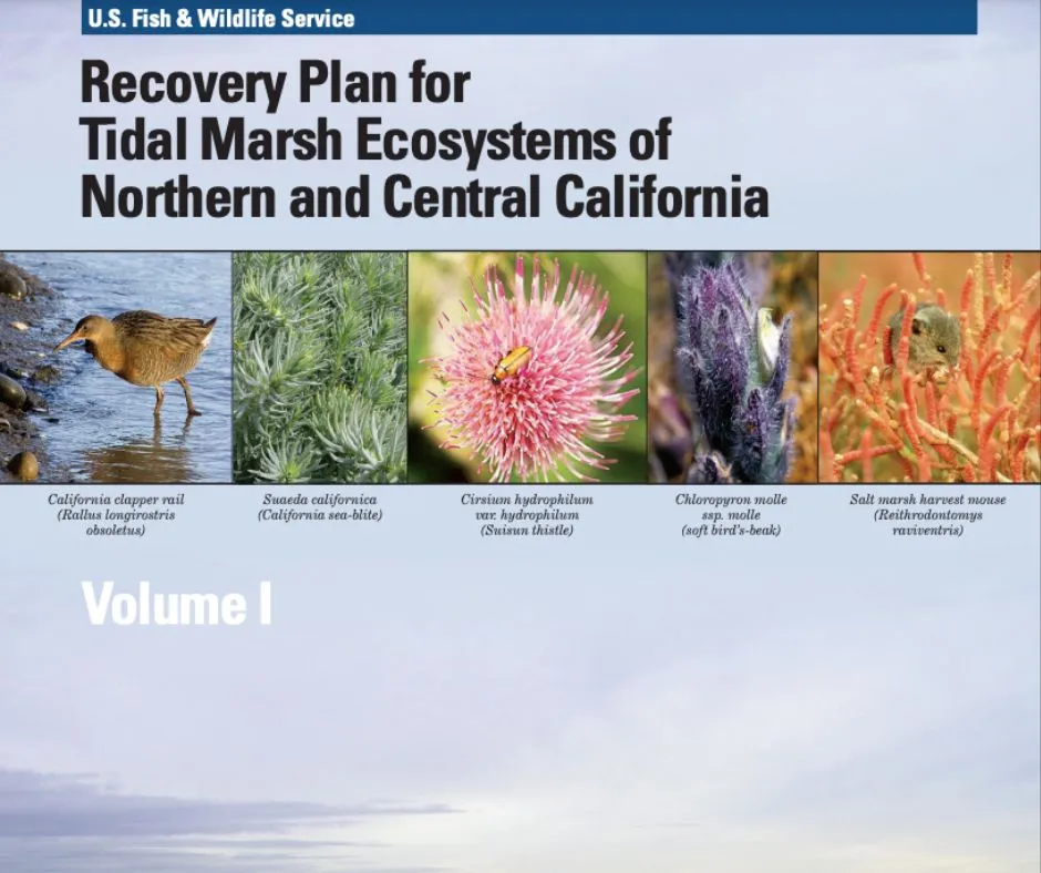 FWS Tidal Marsh Ecosystems Recovery Plan