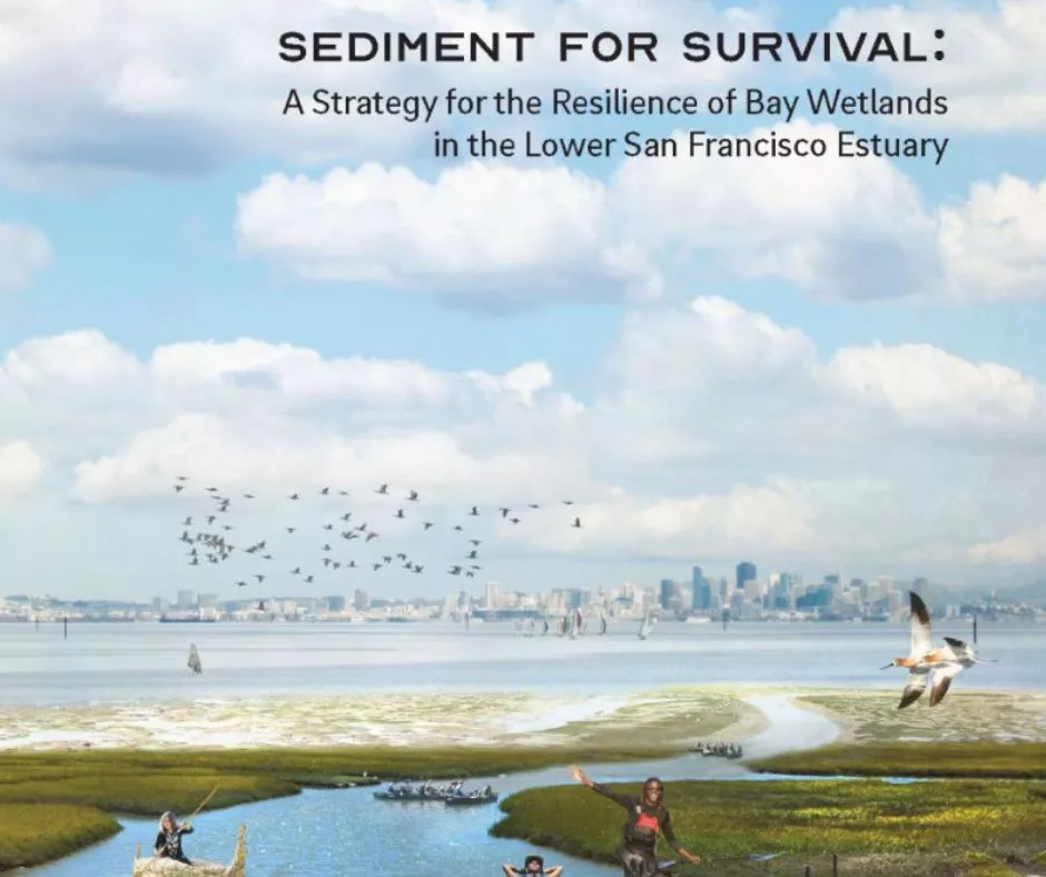 SFEI Sediment for Survival