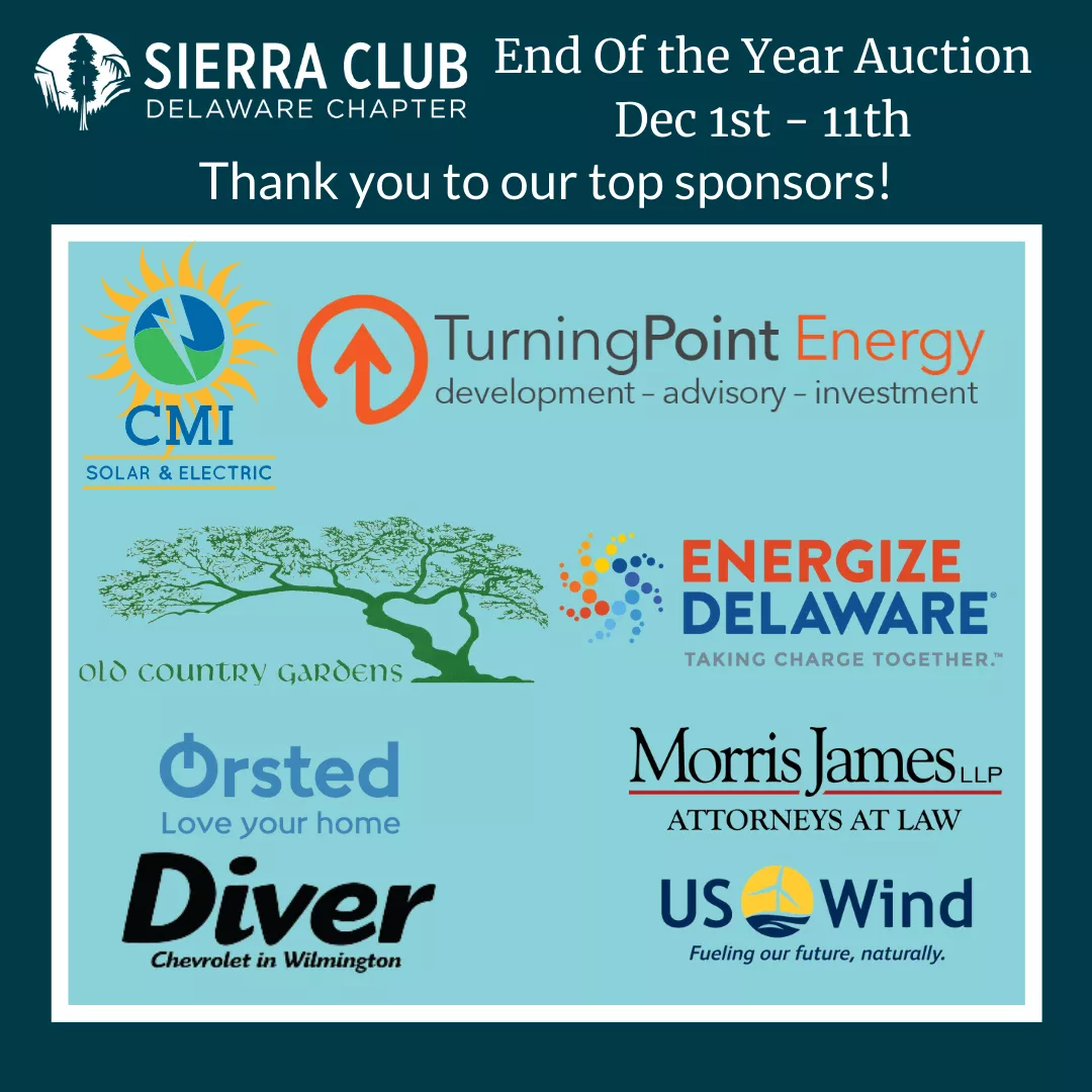 End of year auction 2023 sponsors