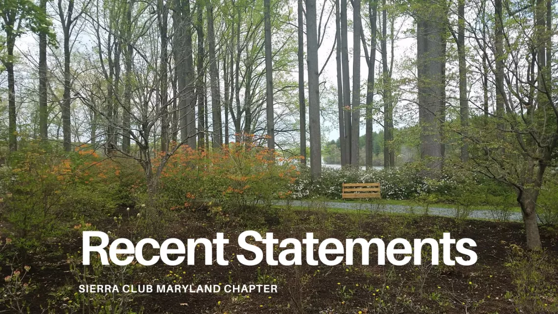 Recent Statements