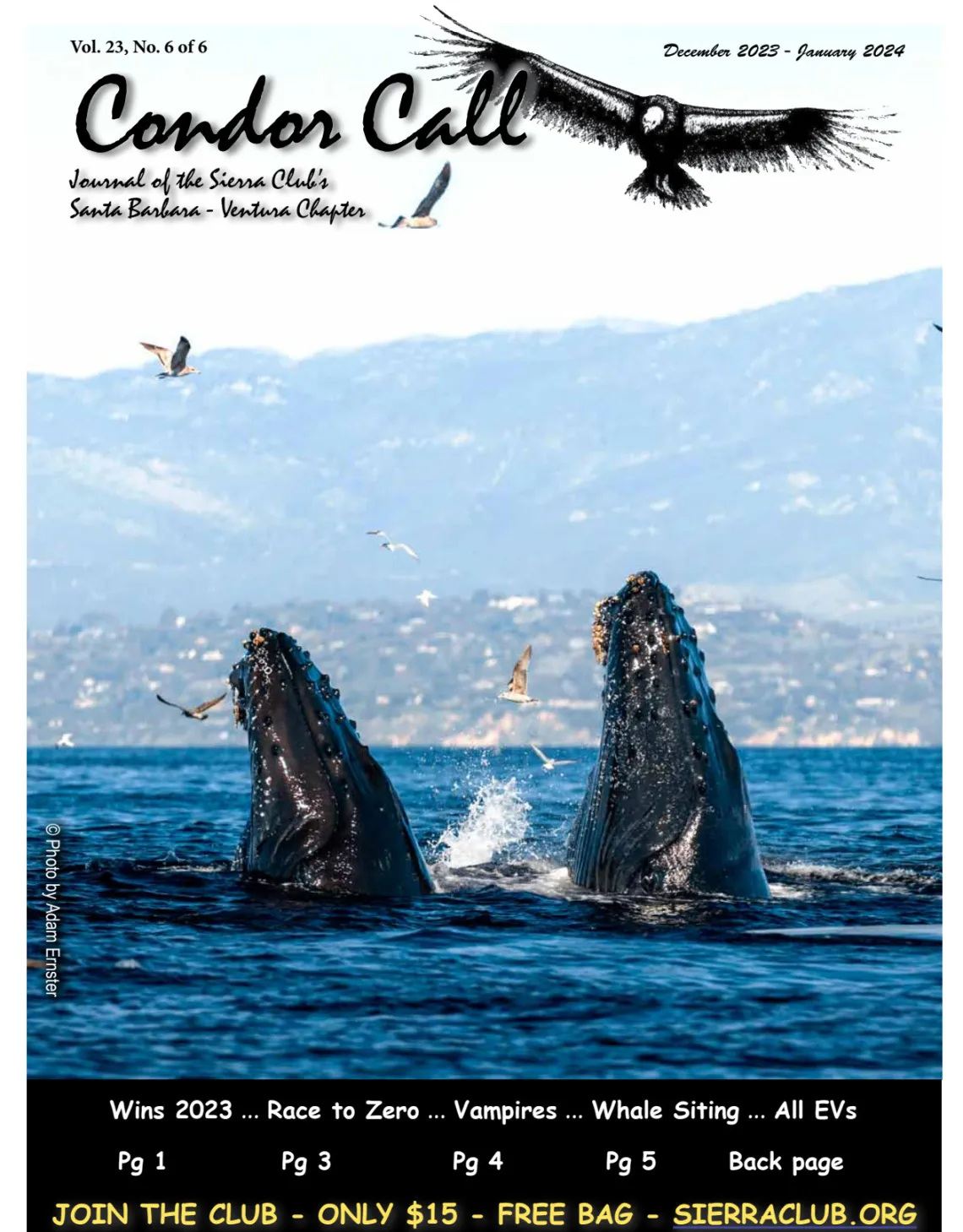 Condor Call Dec 2023