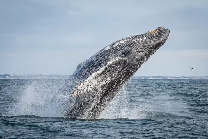 Februrary Meeting 2023