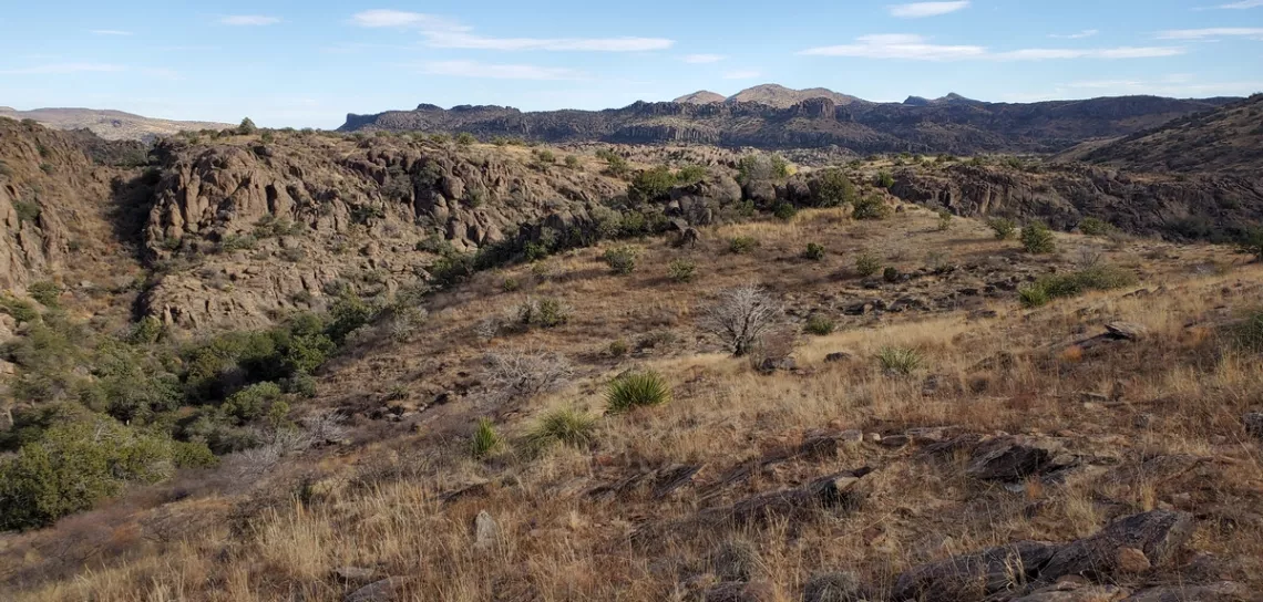 Another pleasant meander across the Chihuahuan Desert.