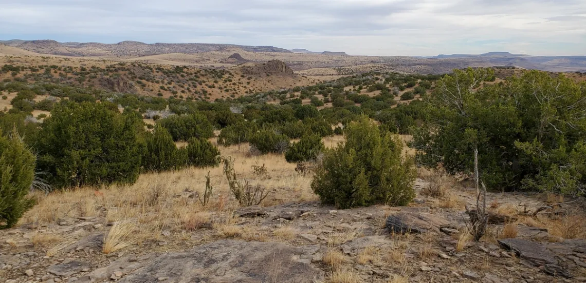 View from Limpia Creek Vista