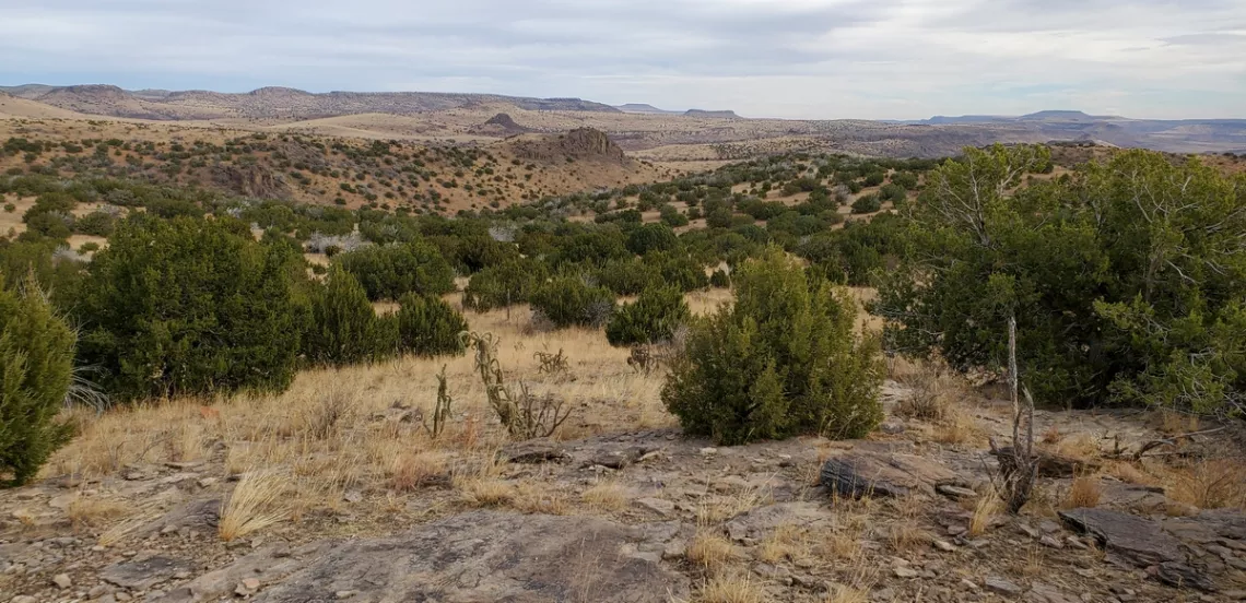 View from Limpia Creek Vista
