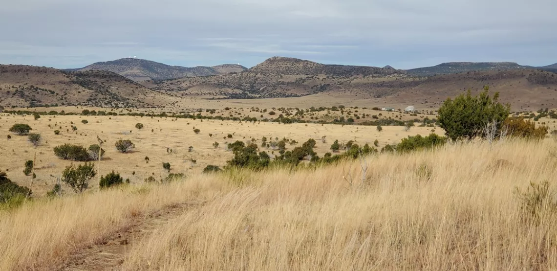 Three of the MacDonald Observatory telescope domes are visible left