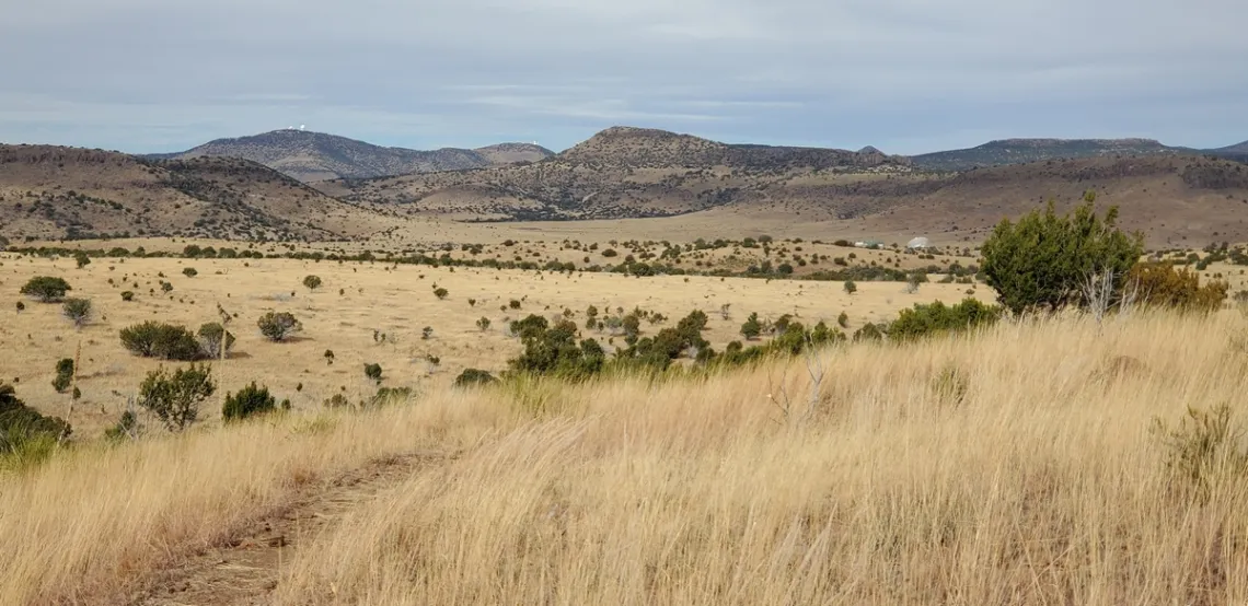 Three of the MacDonald Observatory telescope domes are visible left