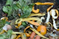 Some Compost