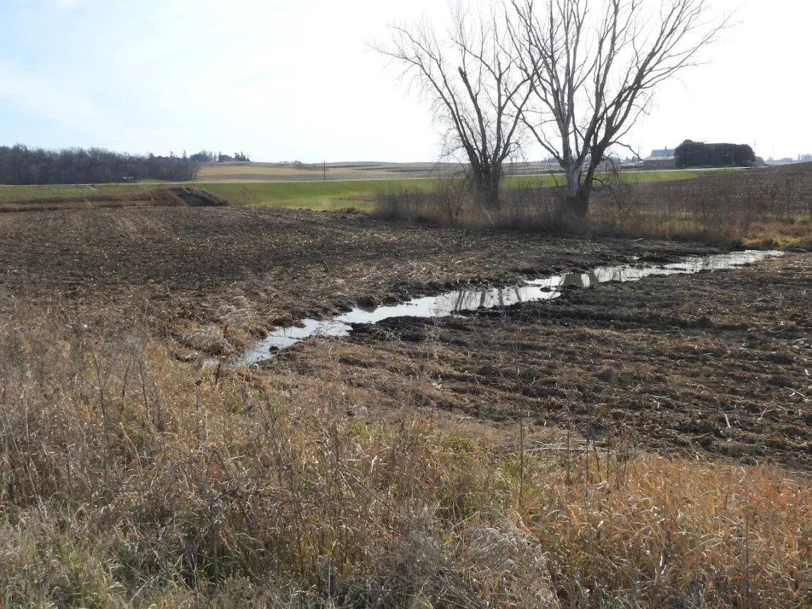 After Supreme Beef's manure was applied to a farm field