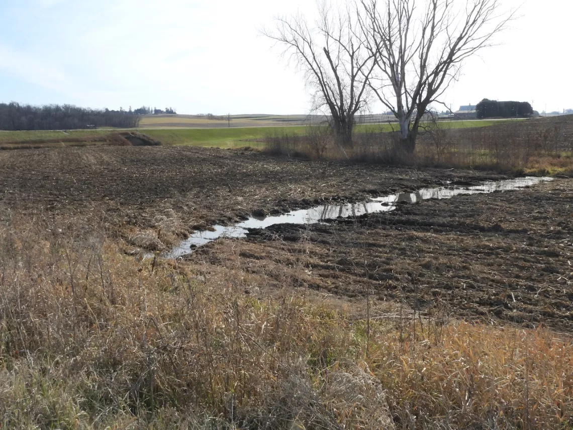 After Supreme Beef's manure was applied to a farm field