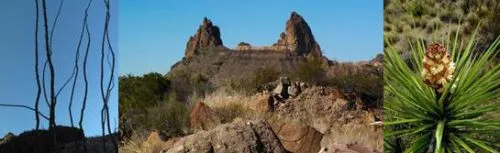 Big Bend National Park