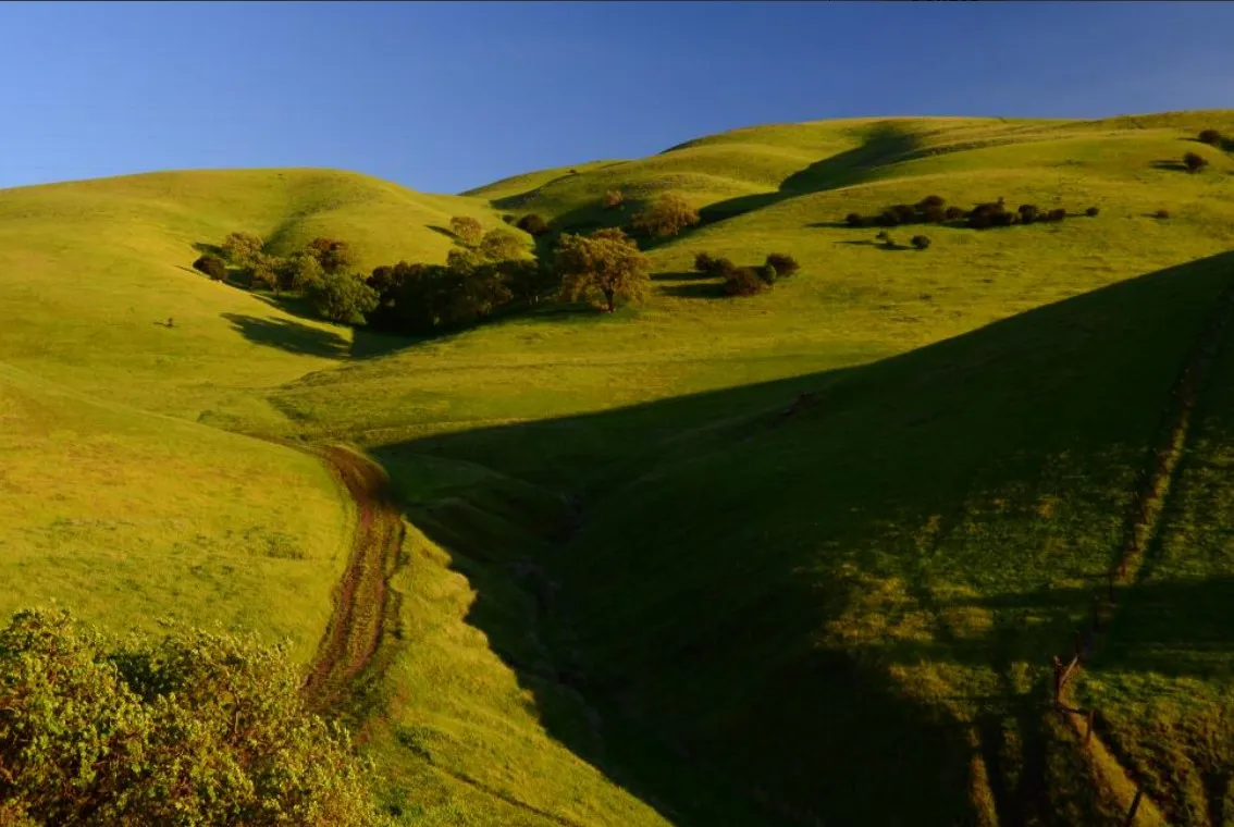 Tesla Park nature
