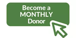 Green button that reads "Become a monthly donor" indicating to click to select