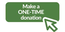 Green button that reads "Make a one-time donation" click to select 
