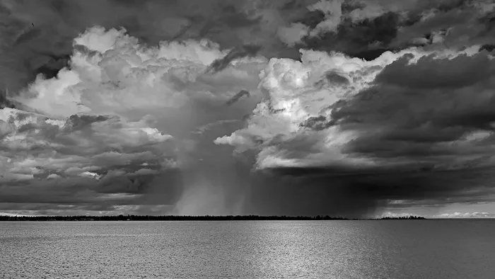 Early Summer Downpour