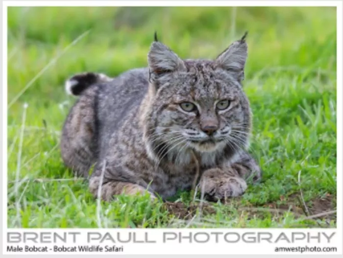 Brent Paul Photography