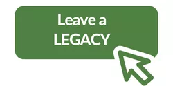 Green button that reads "Leave a legacy" click to select