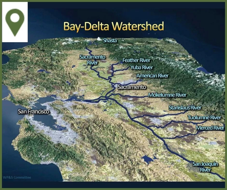 Bay-Delta Watershed
