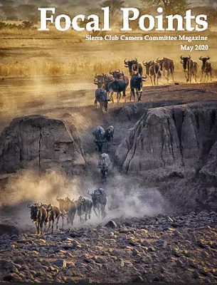 Focal Points May 2020