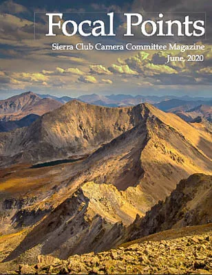 Focal Points June 2020