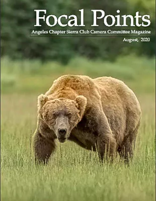 Focal Points Aug. 2020