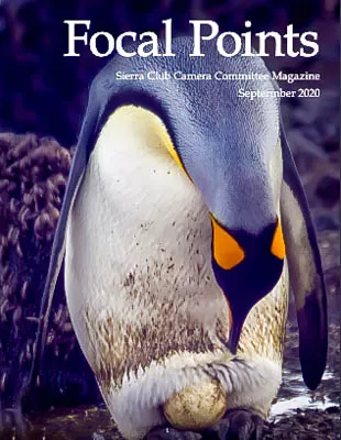 Focal Points Sept. 2020