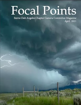 Focal Points April 2021