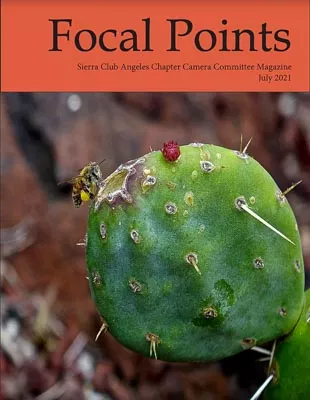 Focal Points July 2021