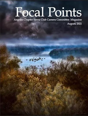 Focal Points Aug. 2021