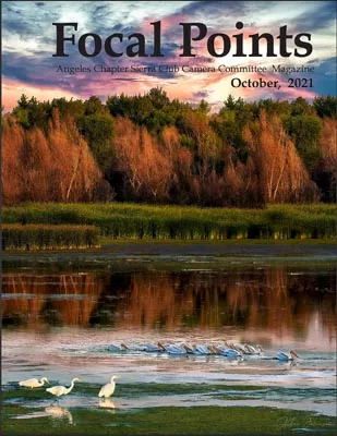 Focal Points Oct 2021