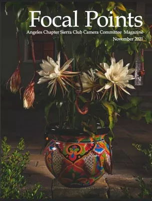 Focal Points Nov. 2021