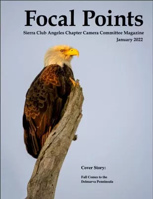 Focal Points Jan 2022