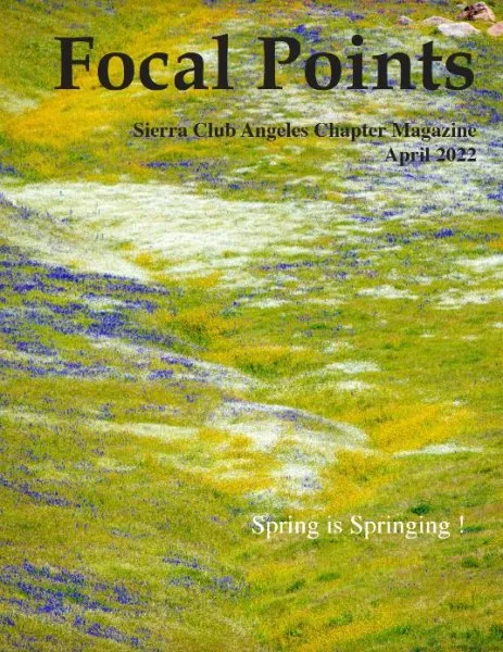 Focal Points April2022
